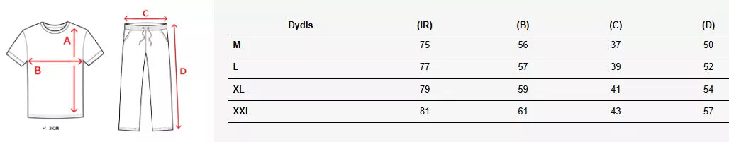 Vīriešu brūns komplekts Summer