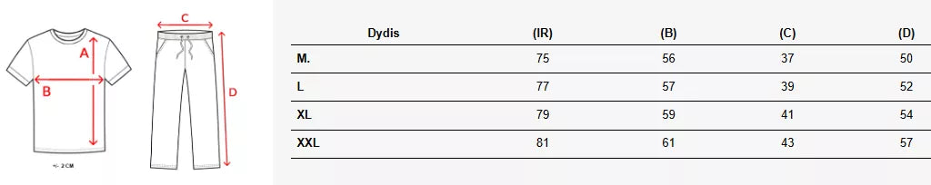 Vīriešu pelēks sporta komplekts Track