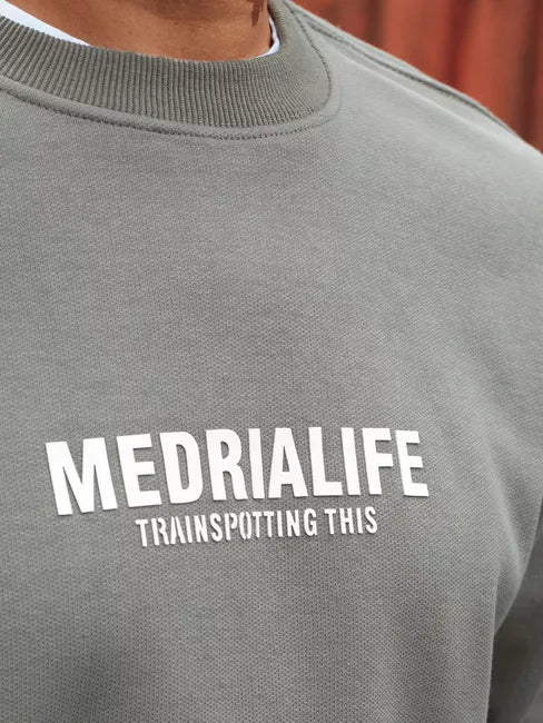 Vīriešu pelēks džemperis Medrialife