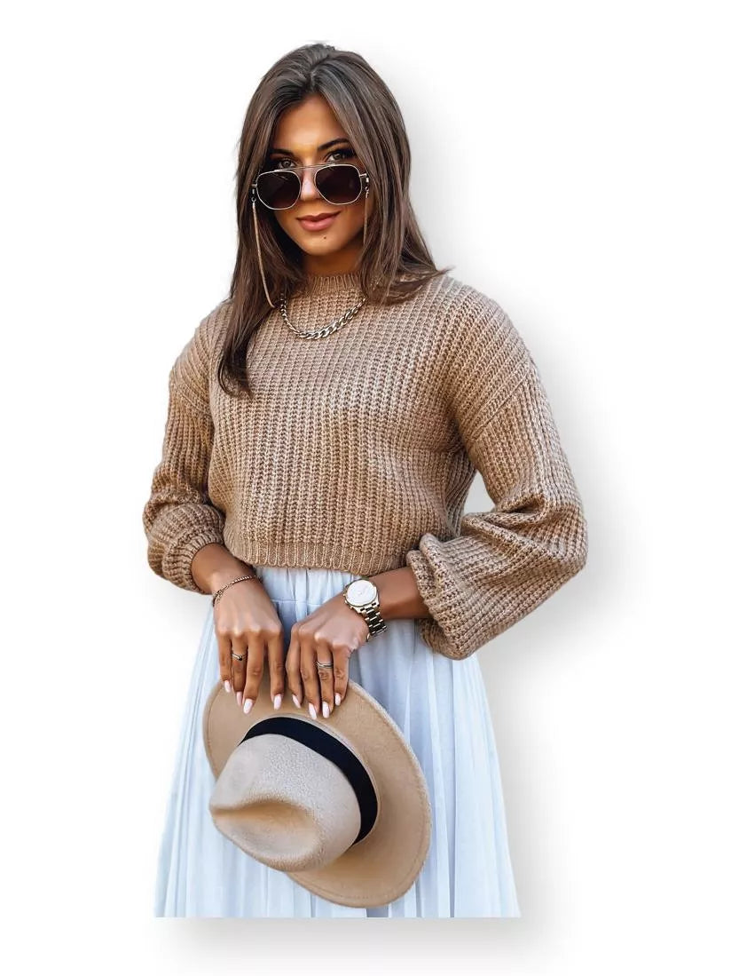 Brūns džemperis Blis