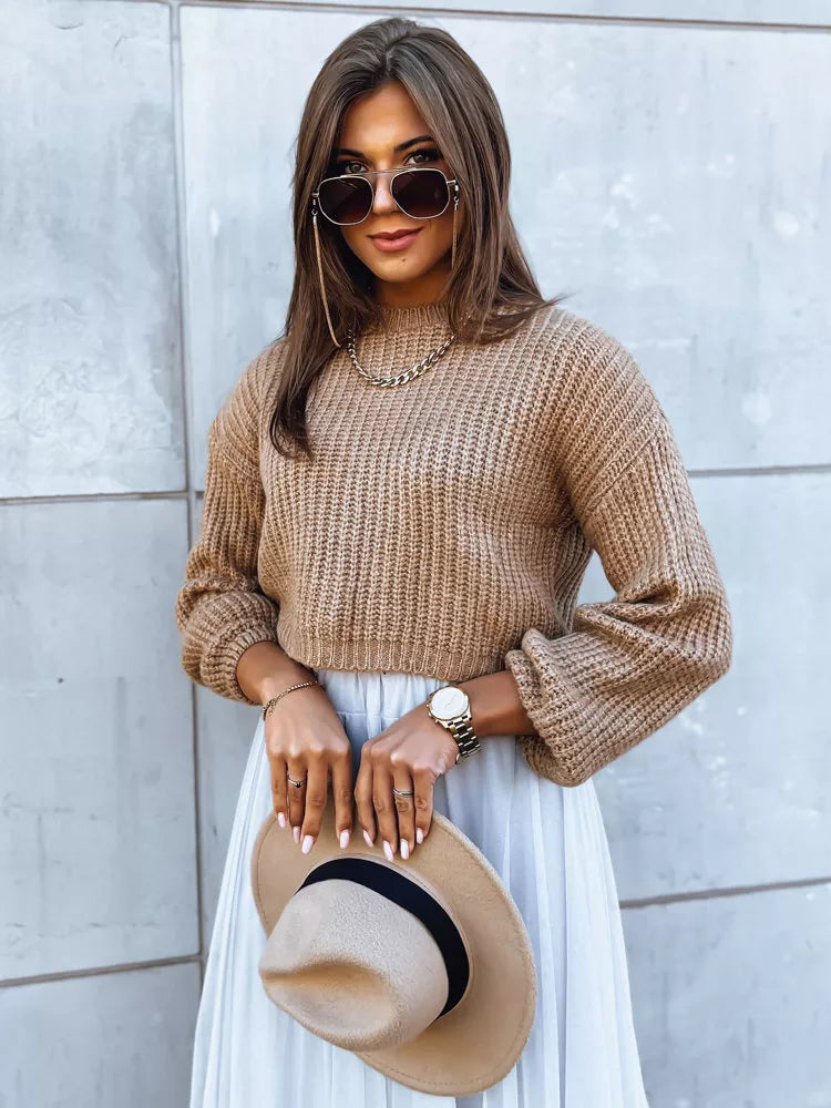 Brūns džemperis Blis