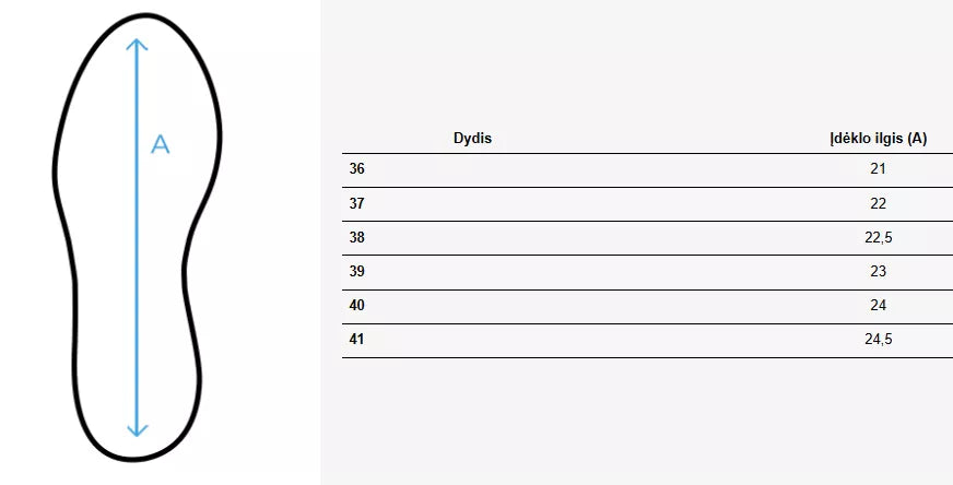 Sieviešu brūnas ikdienas kurpes LANSI