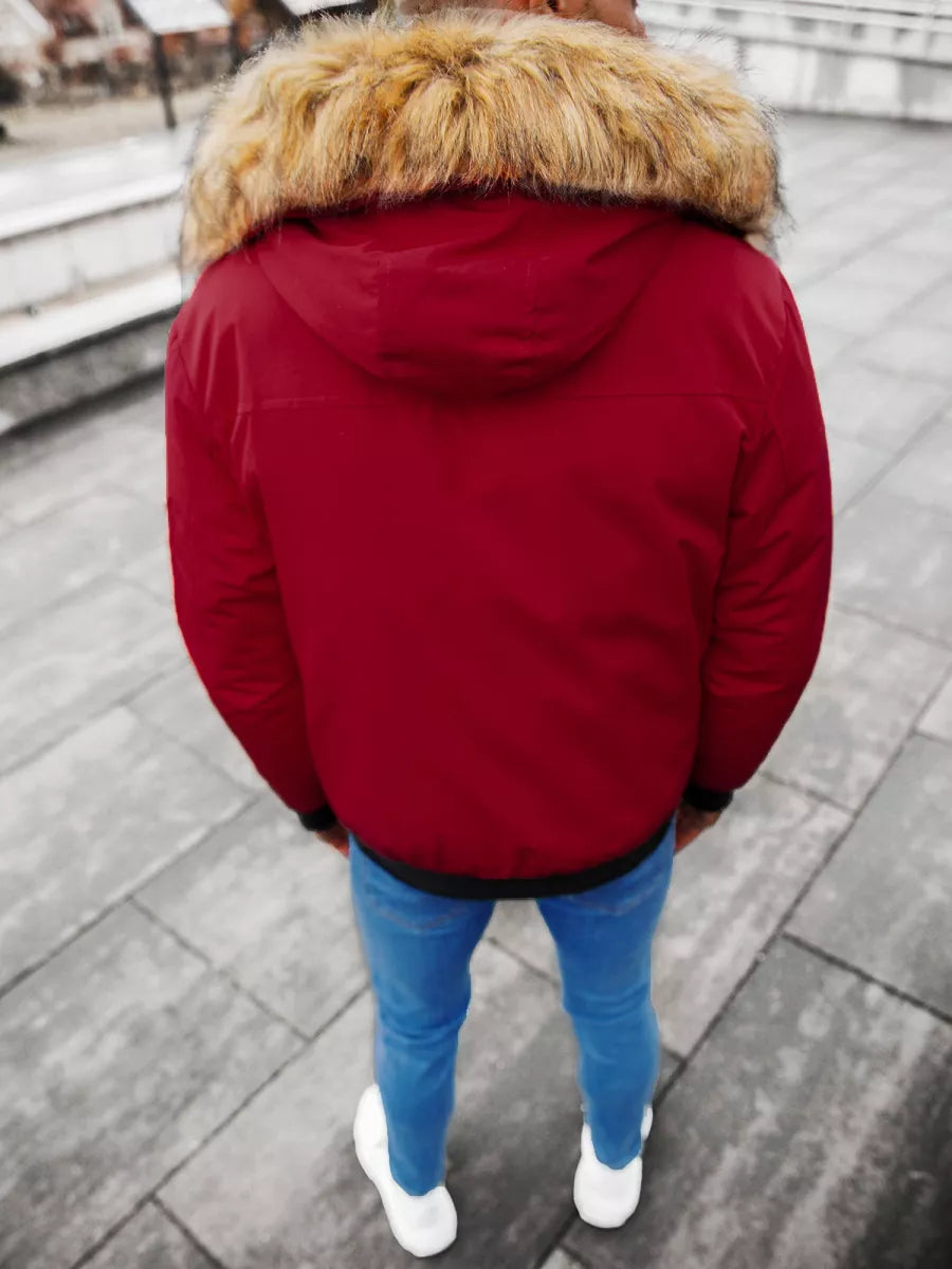 Bomber stila ziemas bordo vīriešu jaka Lemor