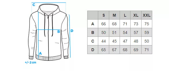 Vīriešu pelēks kapučjakas džemperis Vytis