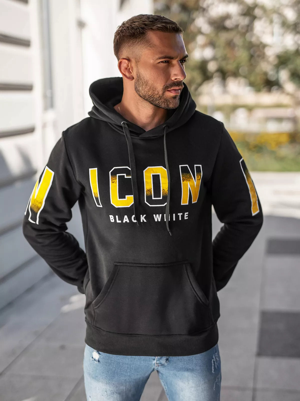 Vīriešu pelēks džemperis Icon2