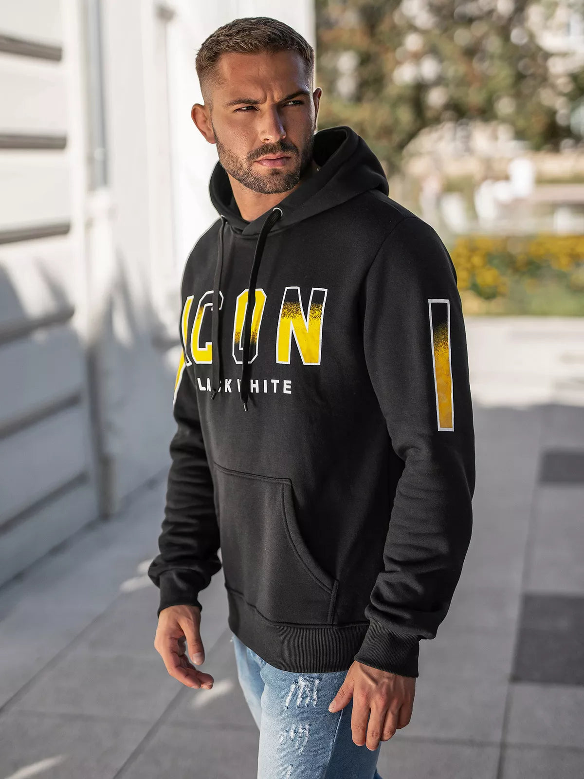 Vīriešu pelēks džemperis Icon2