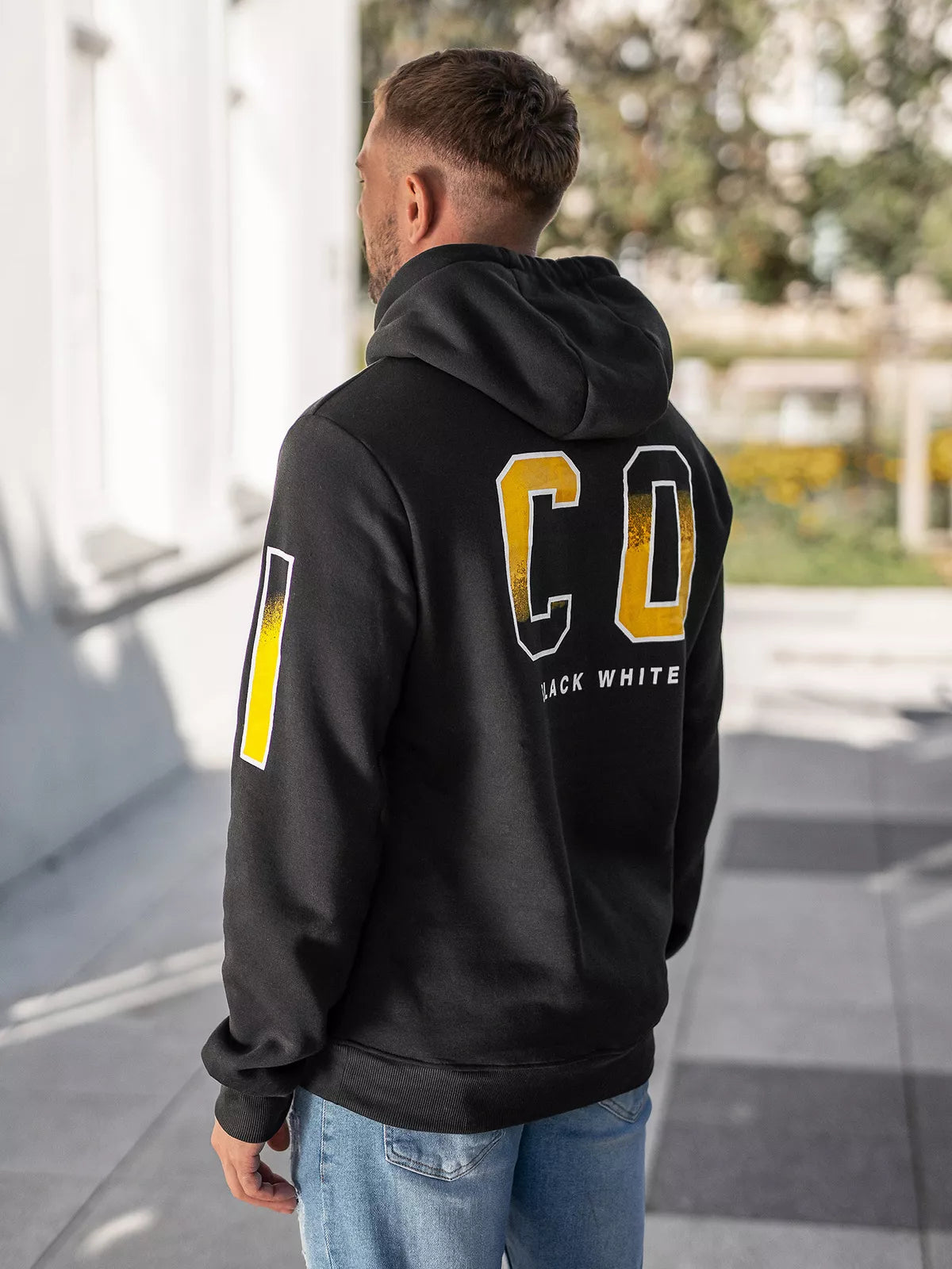 Vīriešu pelēks džemperis Icon2