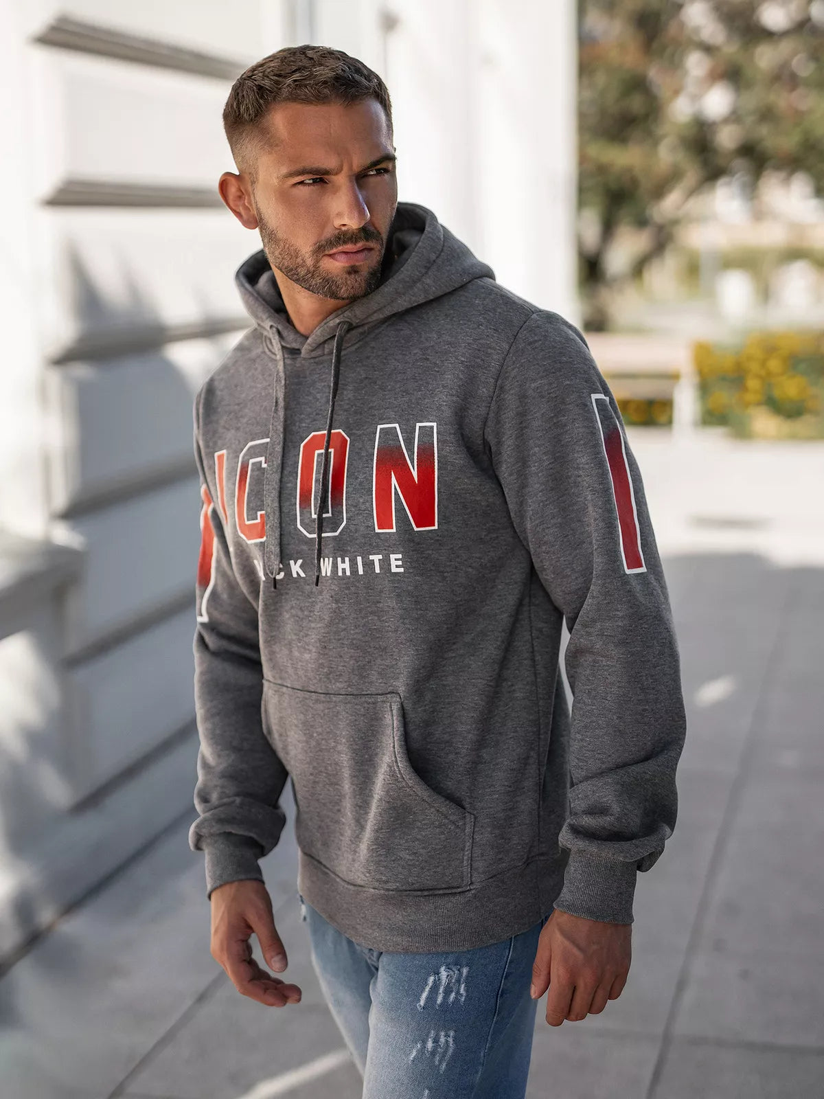 Vīriešu pelēks džemperis Icon2