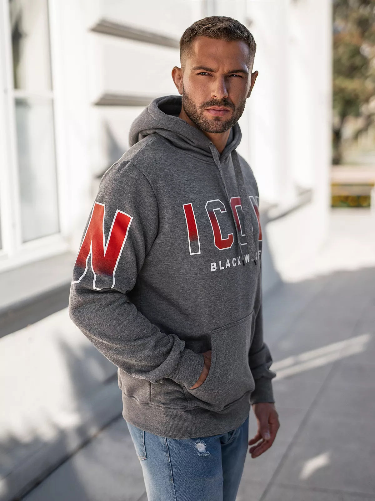 Vīriešu pelēks džemperis Icon2