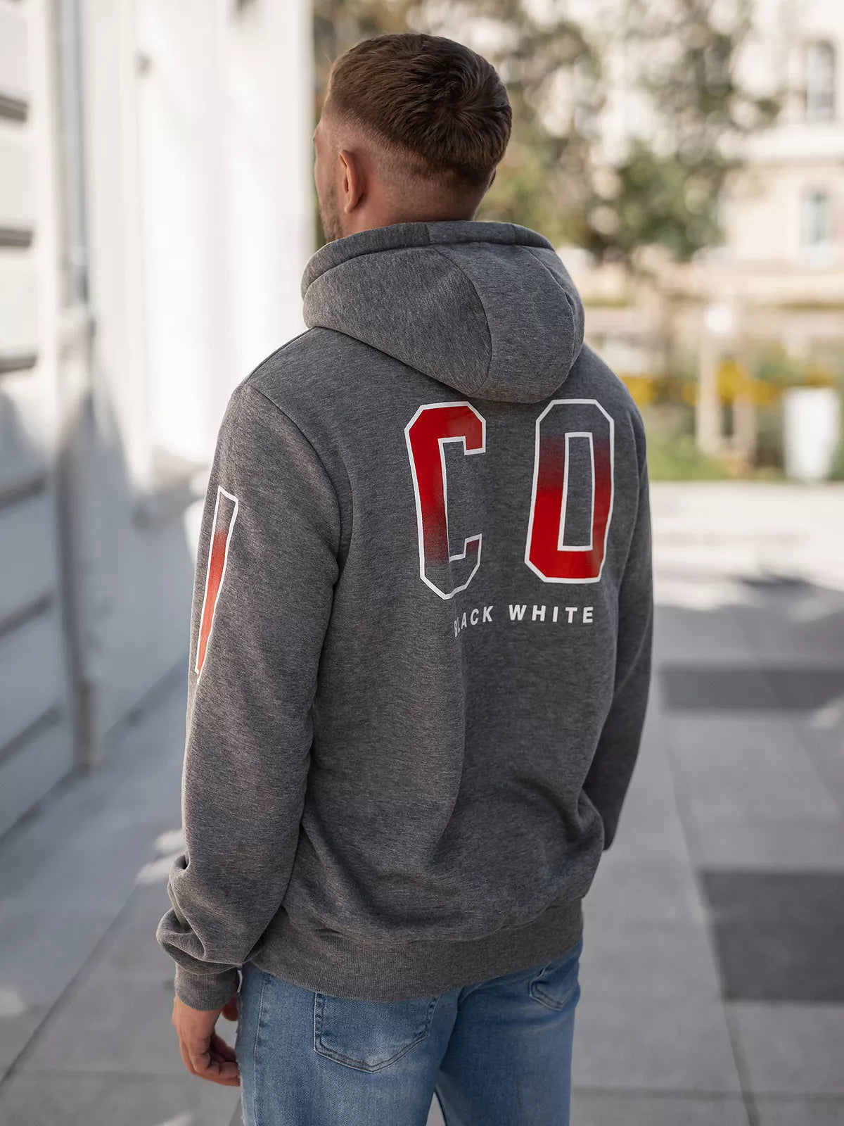 Vīriešu pelēks džemperis Icon2