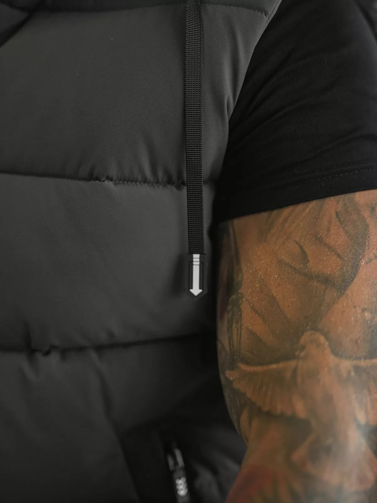 Vīriešu tumši pelēka veste Corles