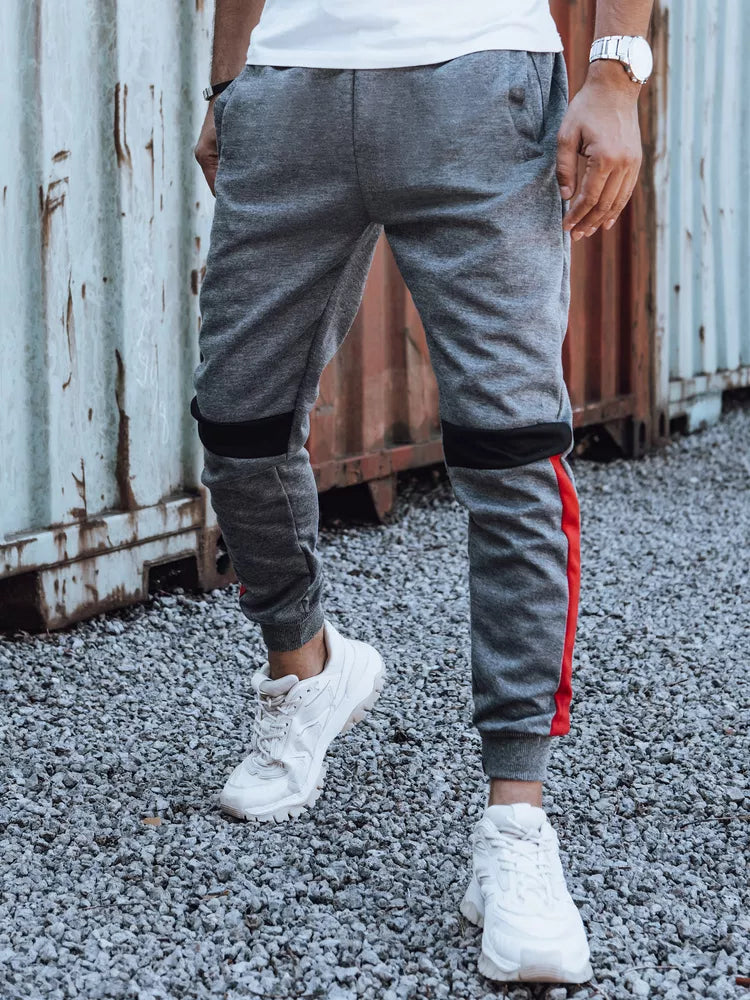 Vīriešu pelēkas ikdienas bikses Edma