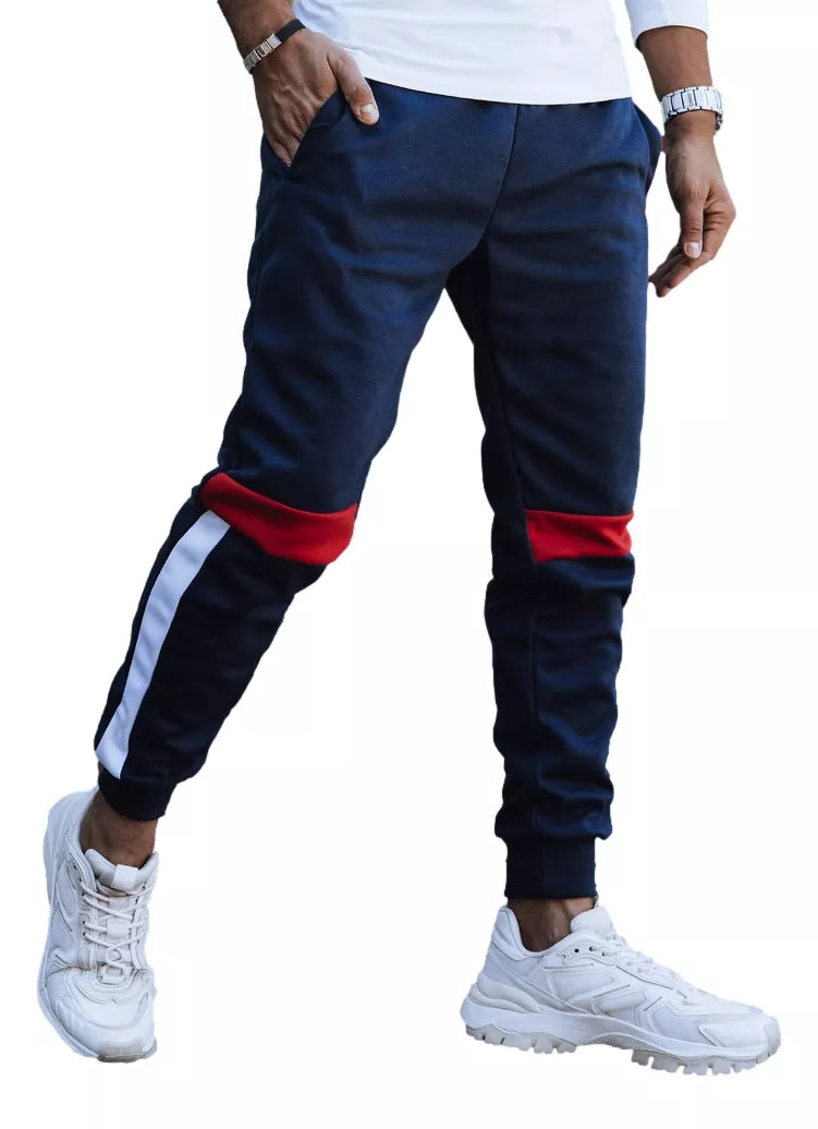 Vīriešu tumši zilas ikdienas bikses Edma