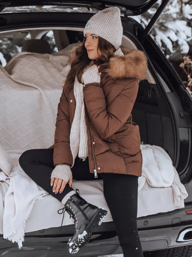 Brūna sieviešu jaka Risk