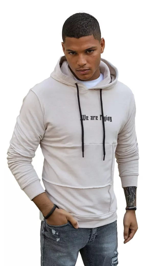 Brūns vīriešu džemperis Fly