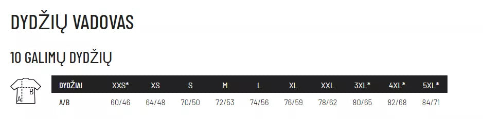 Vīriešu pelēks T-krekls Regent