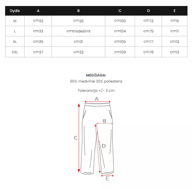 Vīriešu pelēks treniņtērps Sumer