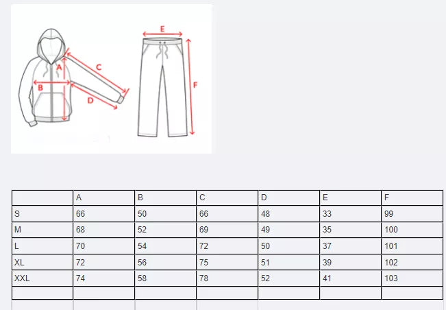 Vīriešu sporta komplekts pelēks Letar